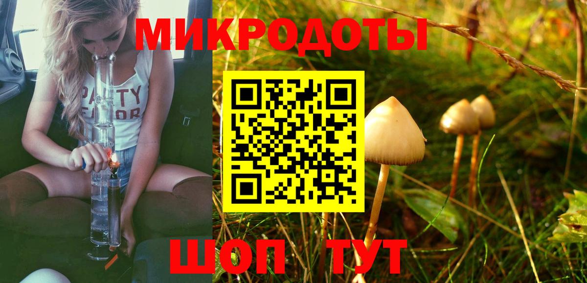 Тара  Псилоцибиновые грибы Psilocybe  что такое   Вход с VPN 